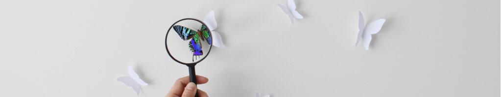 Image of magnifying glass and butterfly